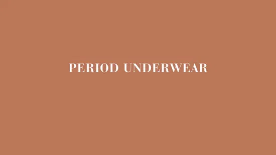 Wholesale Waterproof Ladies Incontinence Leakproof Underwear Protect Period Panties